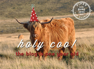 Highland Cow standing in field wearing a red party hat