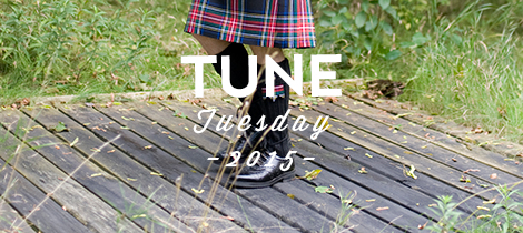 Legs of man wearing bagpipers outfit.